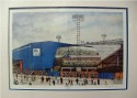 The Cup Tie
